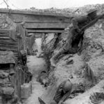 Causas de la Primera Guerra Mundial: Por Qué Estalló el Conflicto más Devastador del Siglo XX