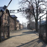 Auschwitz y el Holocausto: La Maquinaria del Exterminio Nazi