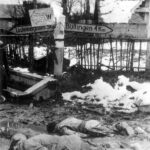 La Batalla de las Ardenas 1944: La Última Apuesta de Hitler en el Oeste